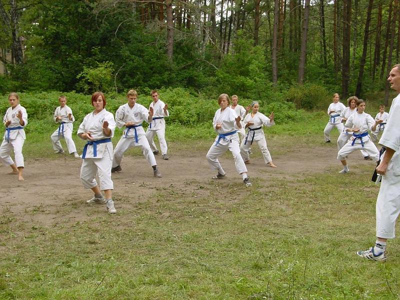 Heian Nidan 2.jpg